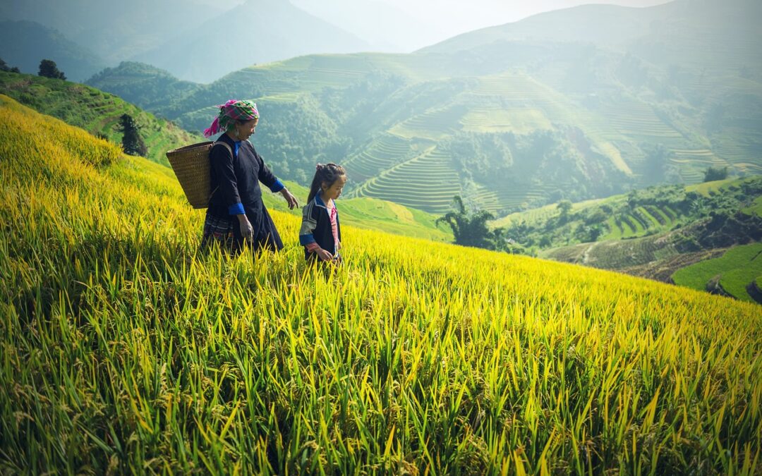 Cultura de Laos: festivales y etnias