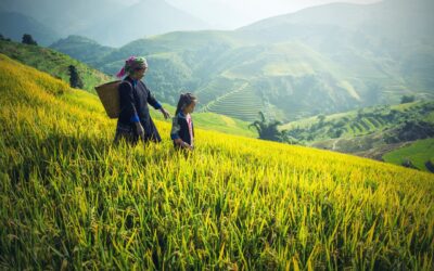 Cultura de Laos: festivales y etnias