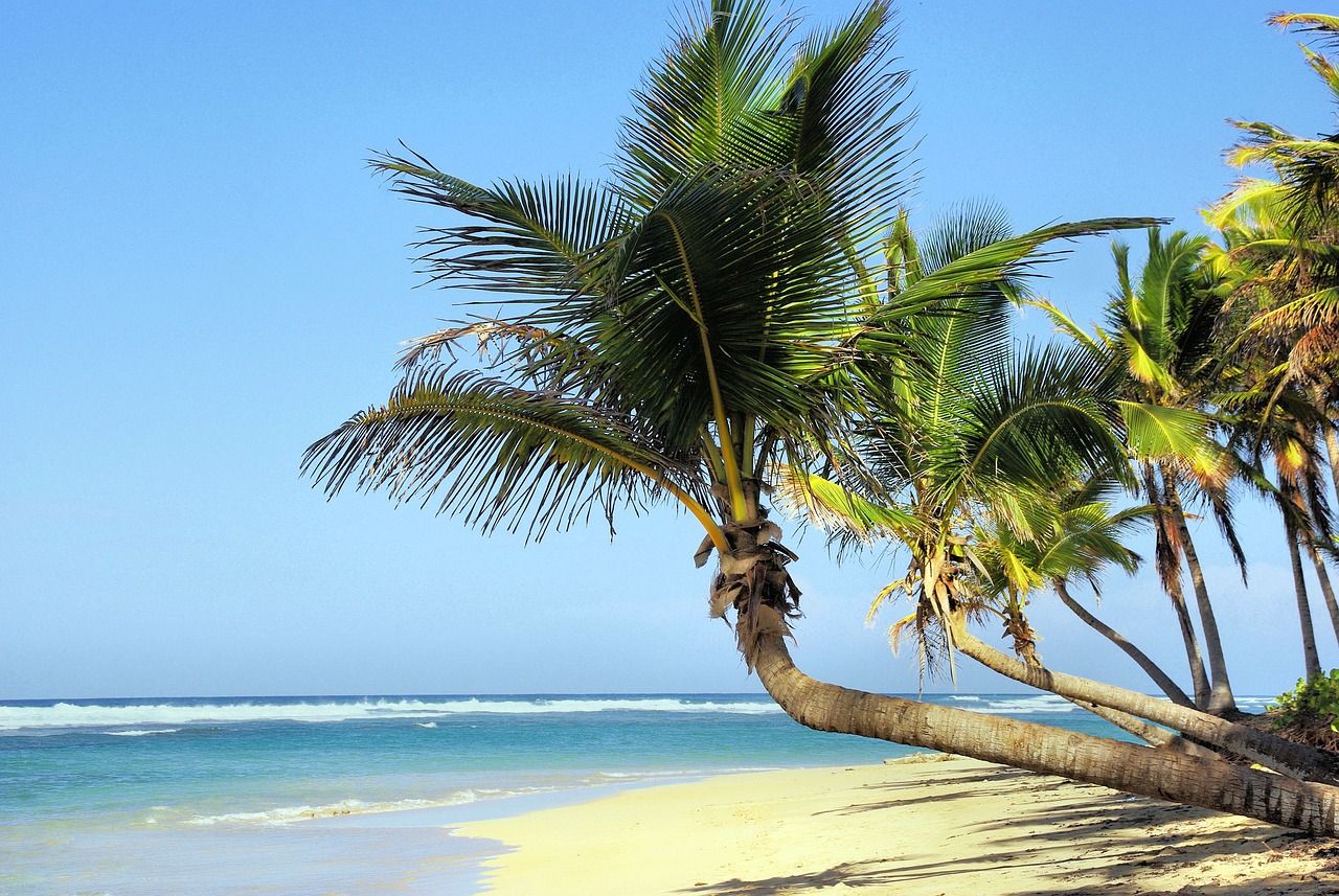 playa de arena blanca en cuba