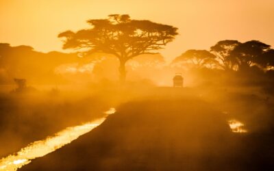 Economía de Kenia: turismo y más