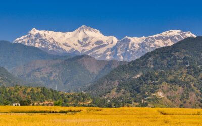 Economía de Nepal: Agricultura y turismo