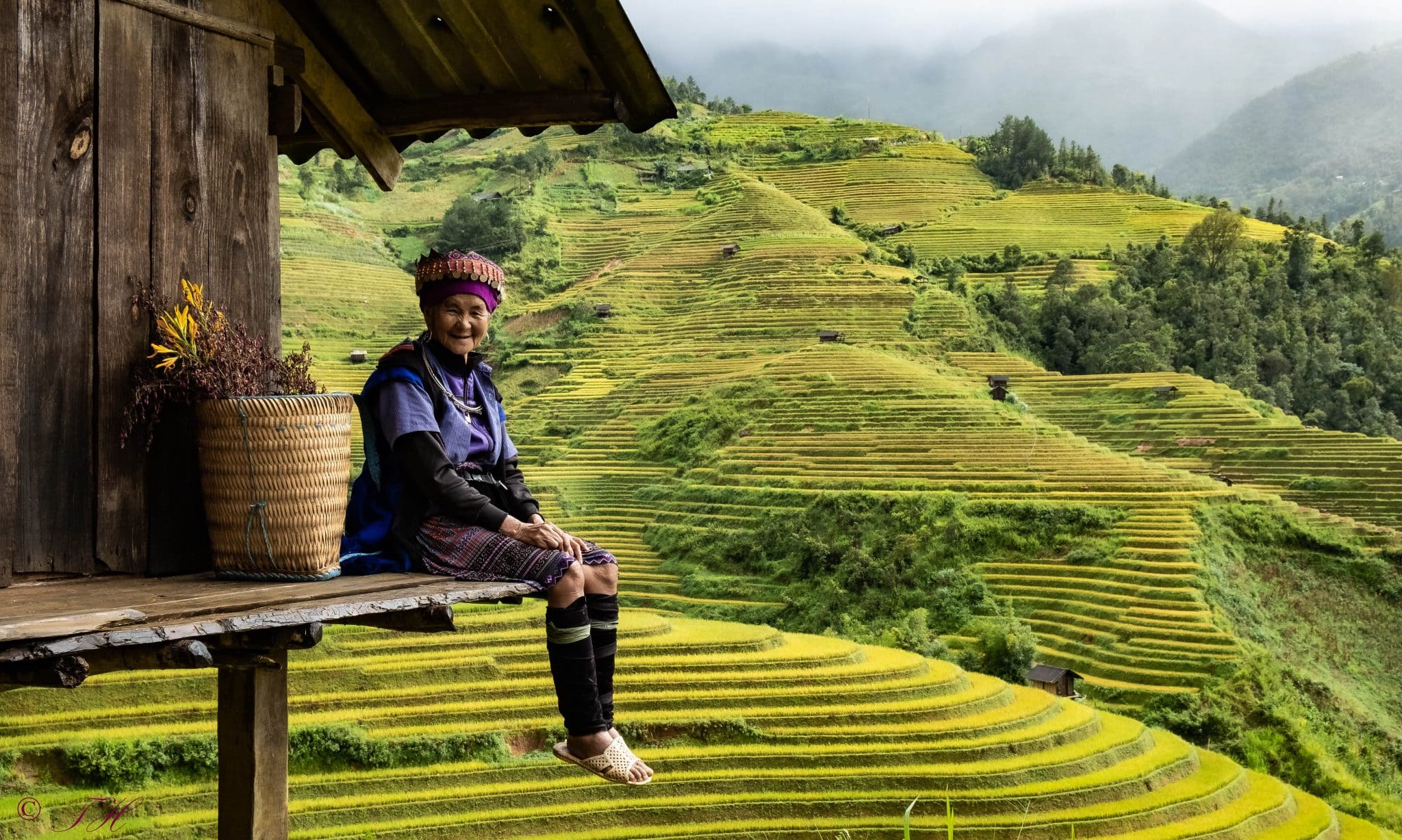 mujer sentada en campo de arrozales en Vietnam