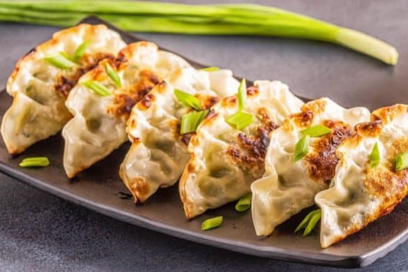 Gyoza plato típico de Japón