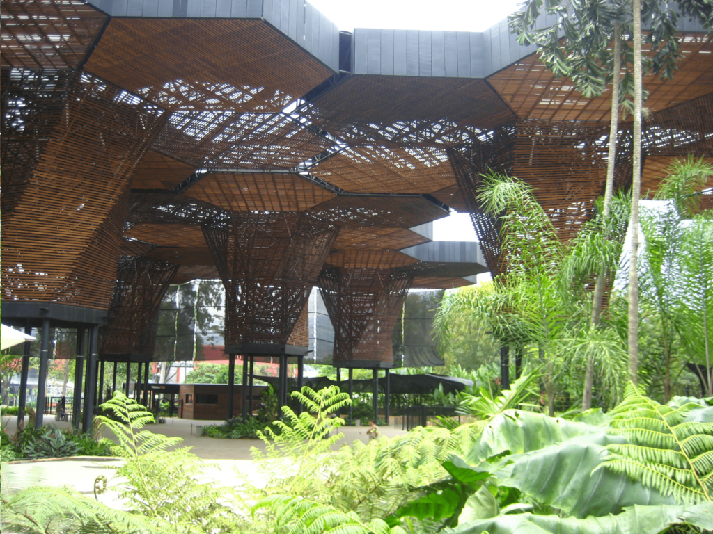 Jardín Botánico de Medellin Colombia