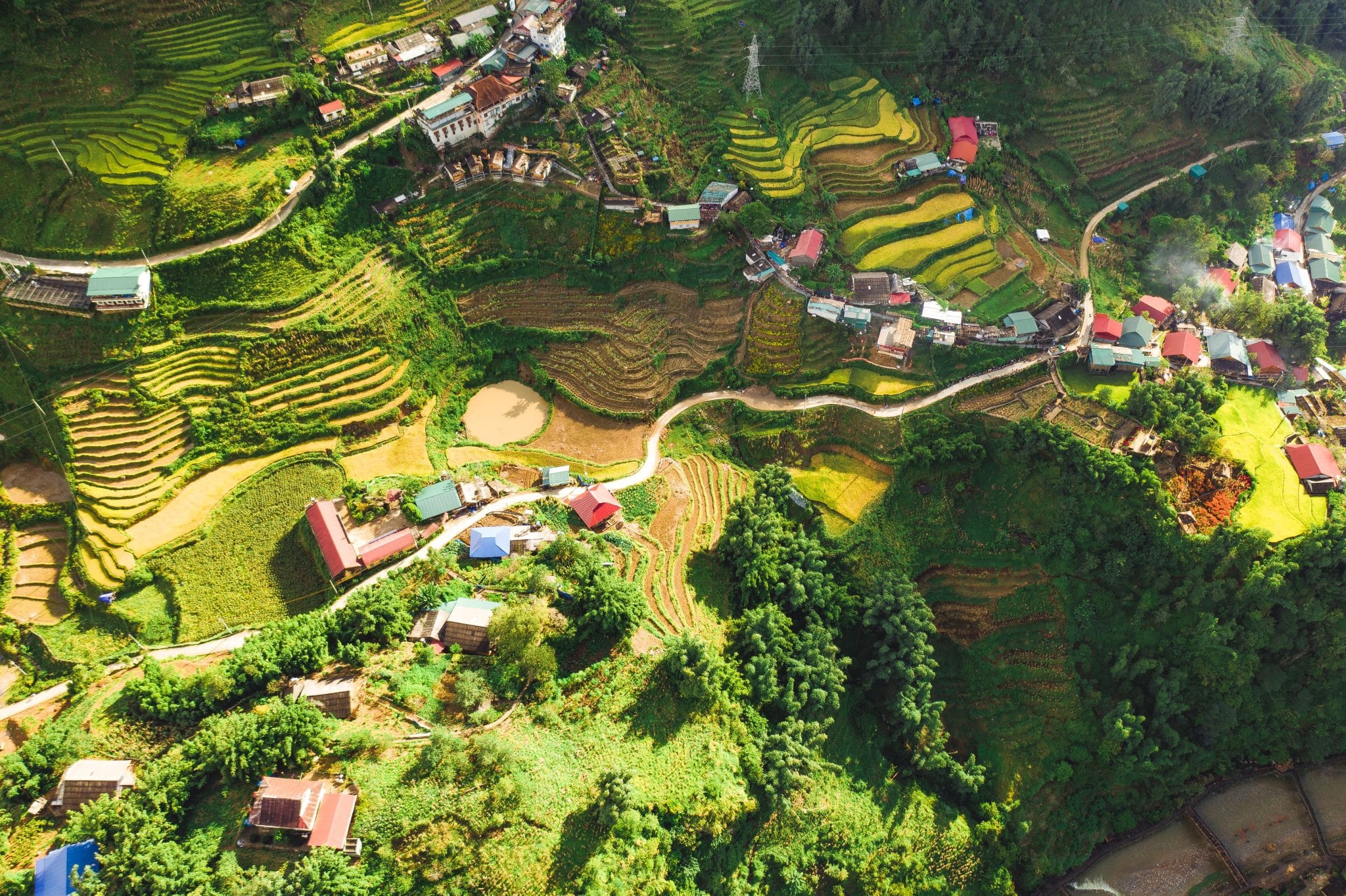 Paisajes aéreos de arrozales en Vietnam