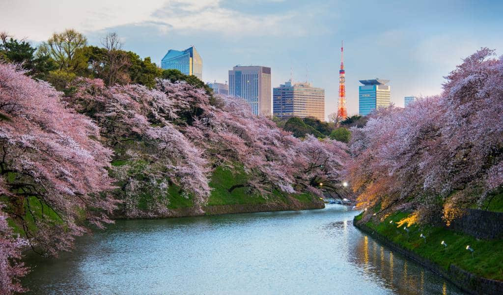 Sumida en Tokio, Japón