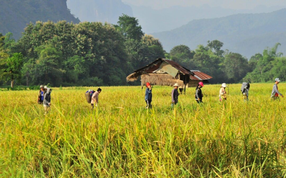 Población en Laos: etnias y ciudades