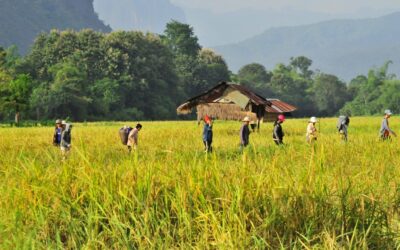 Población en Laos: etnias y ciudades