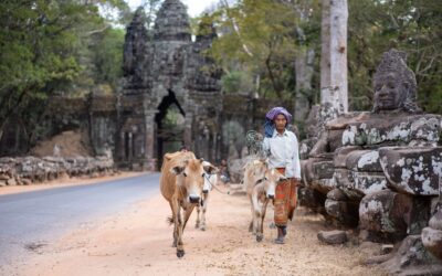 Salud y vacunas para Camboya