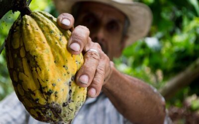 Cultura de Colombia: sabores y sonidos