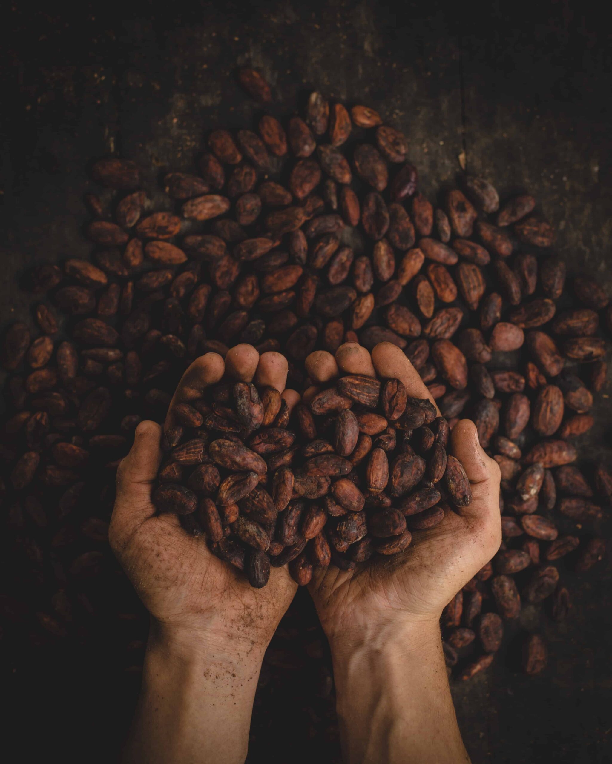 manos sujetando granos de café en Colombia