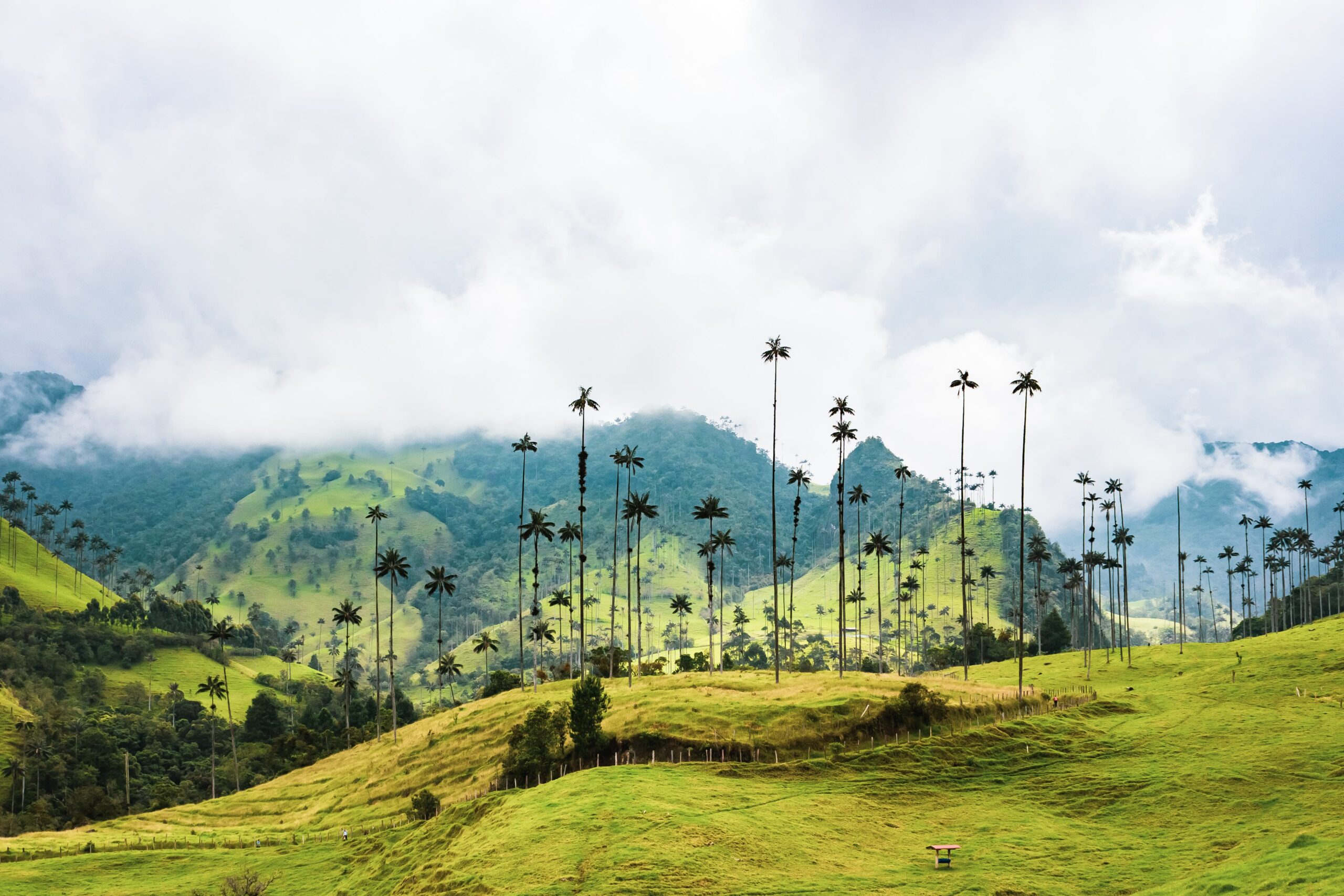 salento en colombia