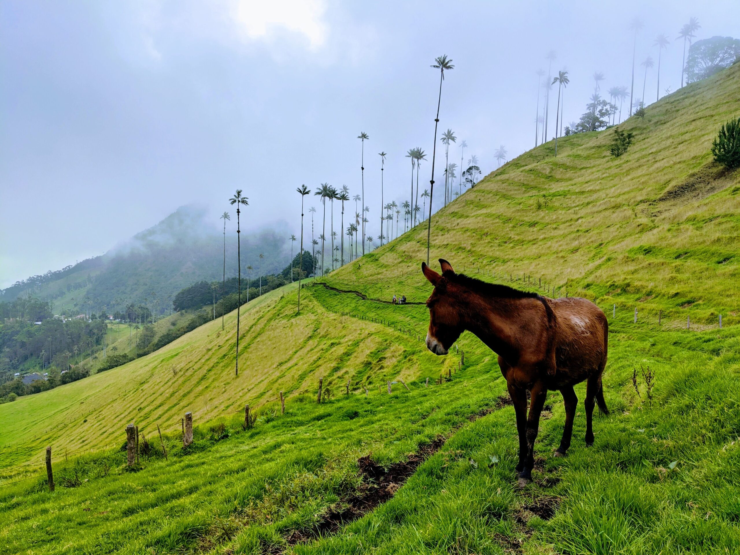 salento en colombia