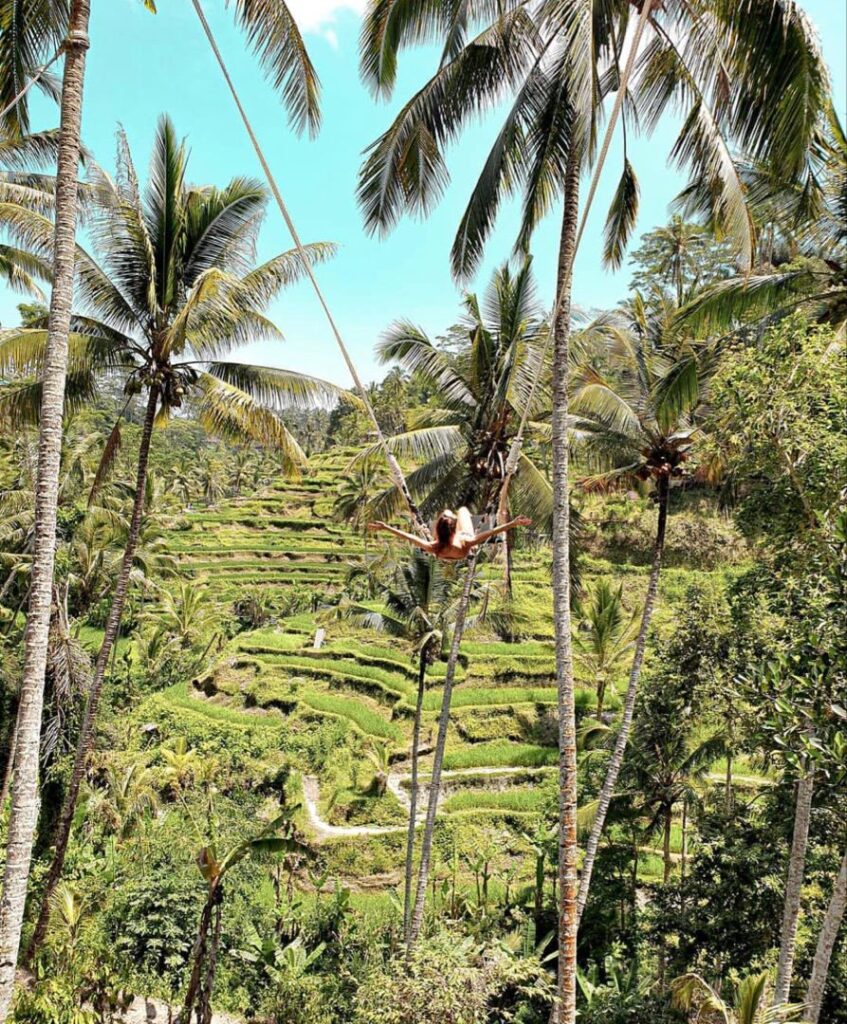 columpio en Bali sobre arrozales