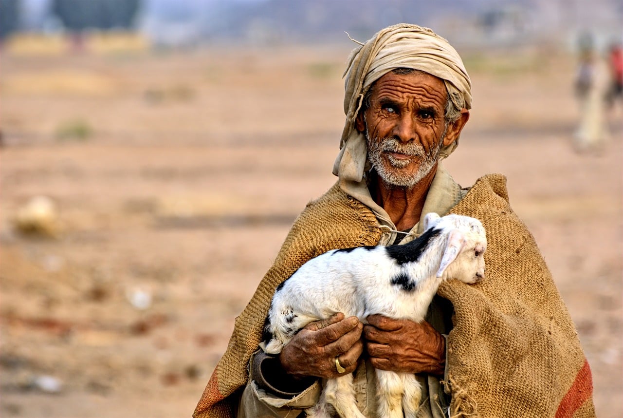 hombre con cordero en Egipto