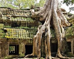 Templo de Ta Prohm, Camboya