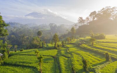 La mejor época para viajar a Indonesia