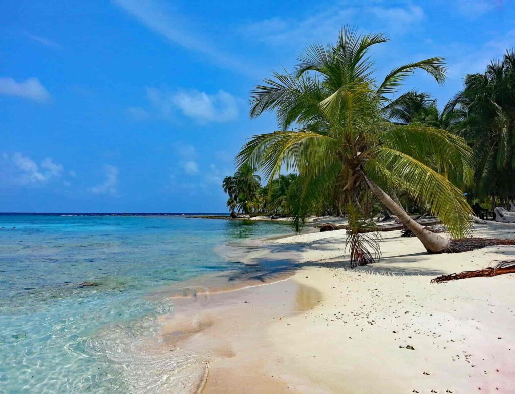 isla baru en Cartagena Colombia