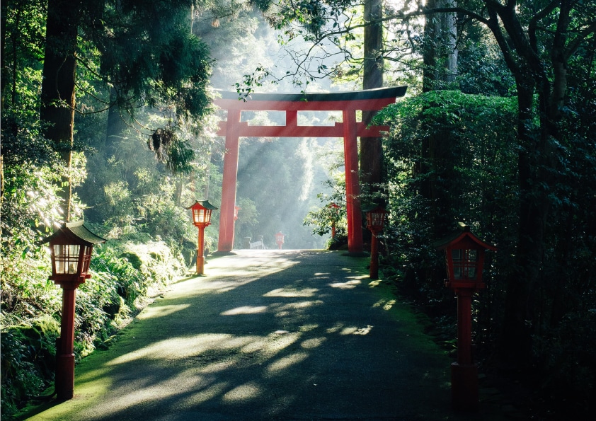 puerta shintoísta en el bosque en Japón