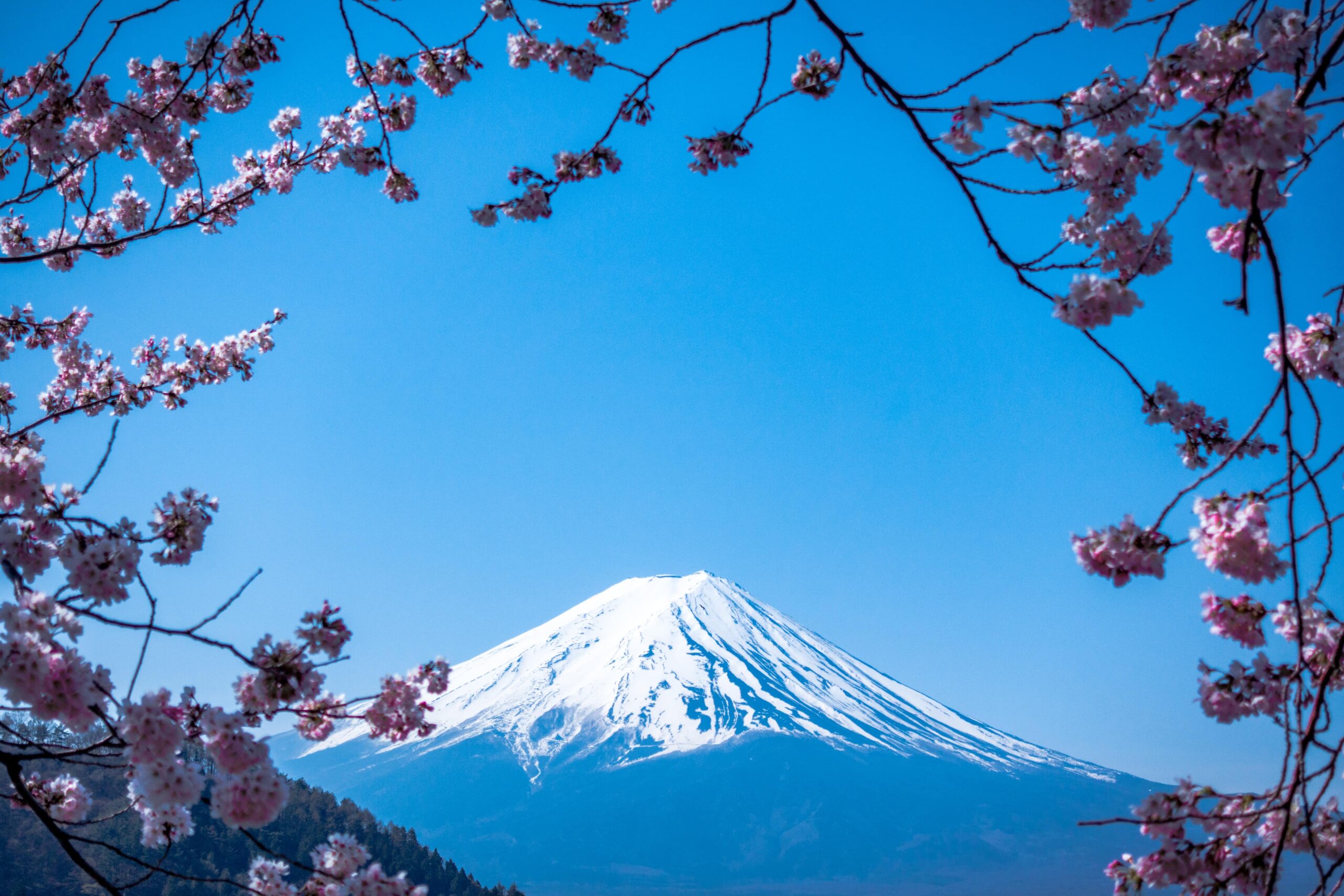 paisaje de fuji en Japón