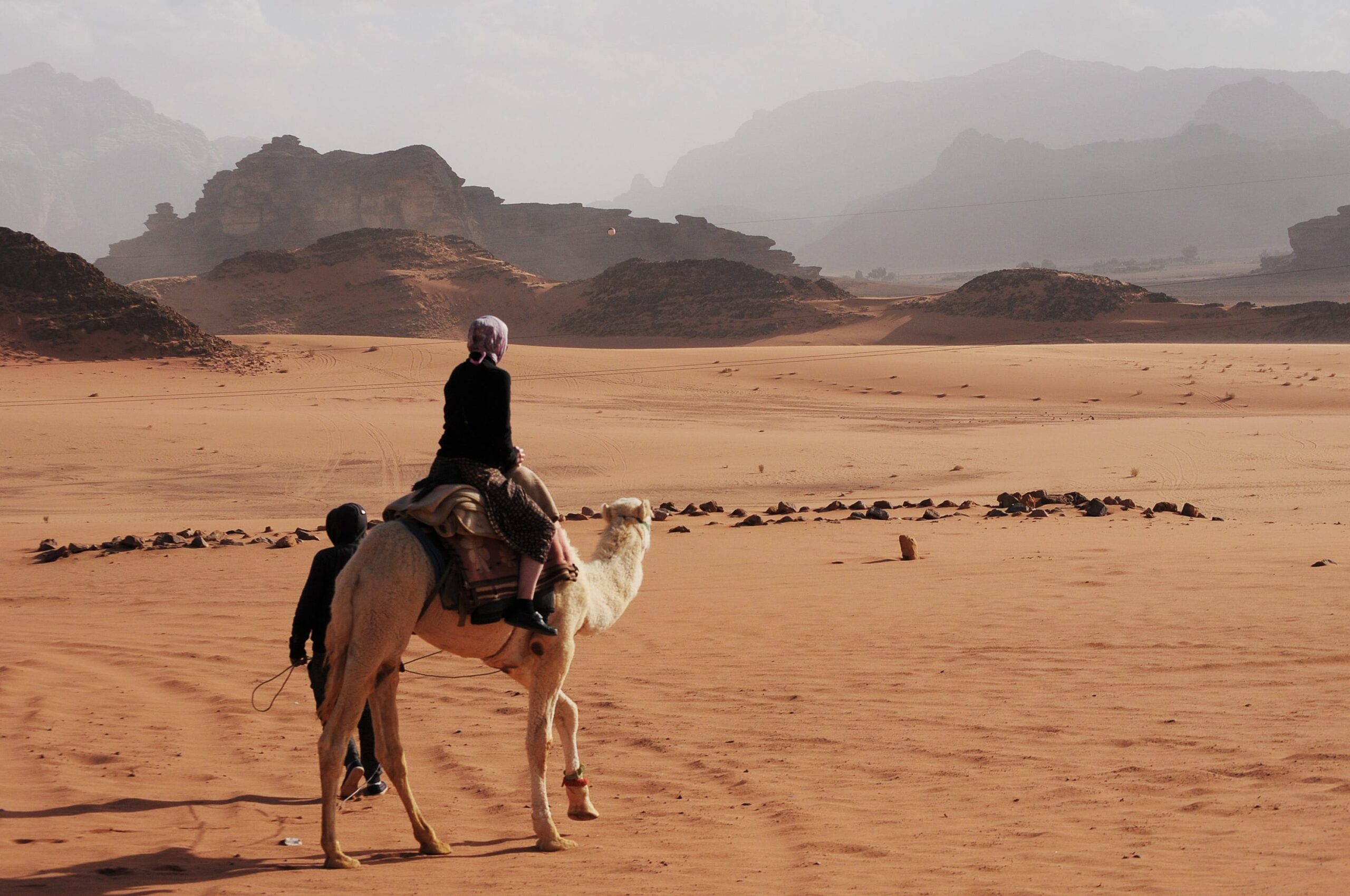 camellos en el desierto de Wadi Rum en Jordania