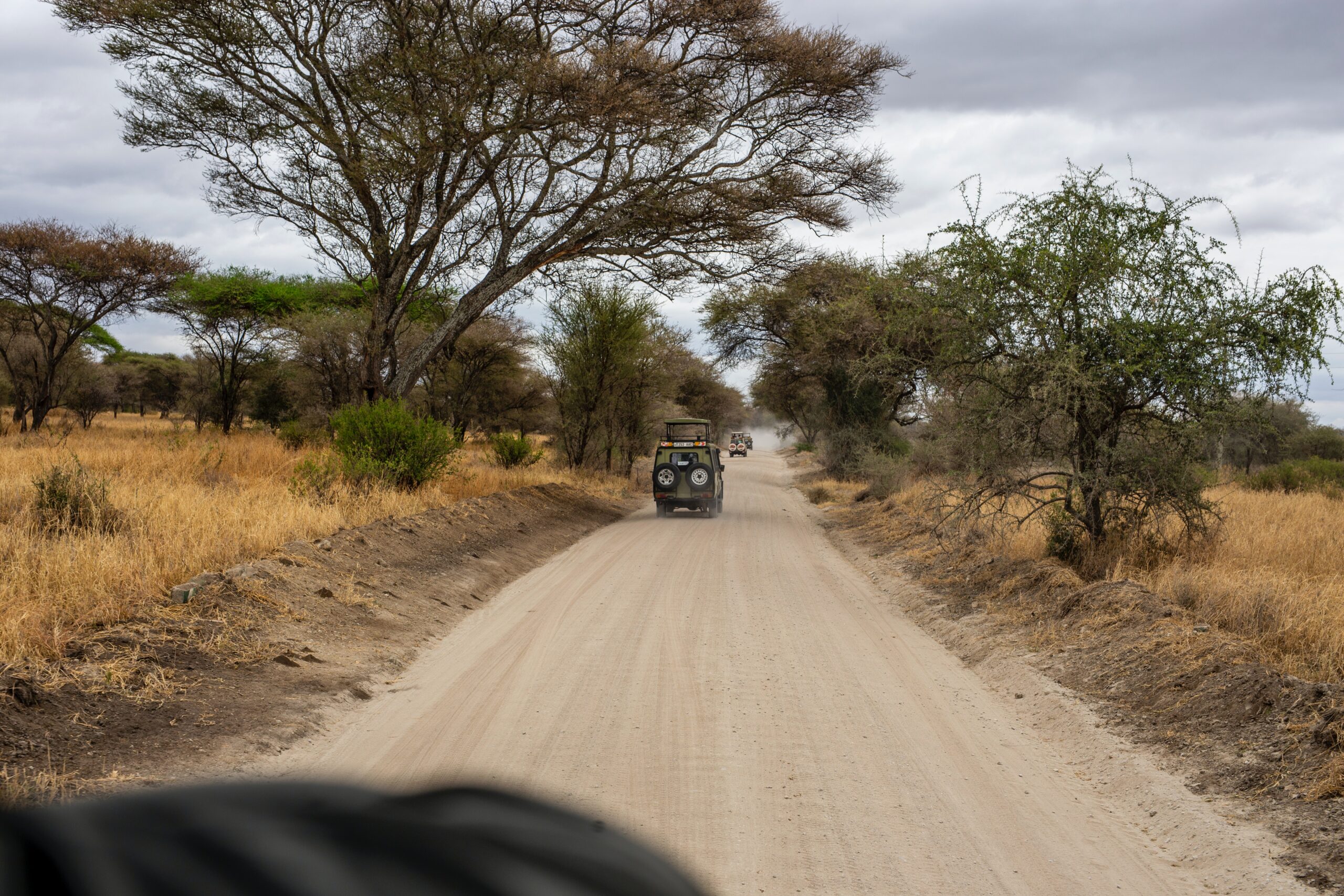 safari en Kenia