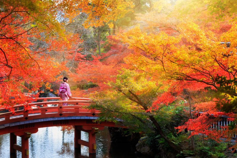 kioto en otoño japón