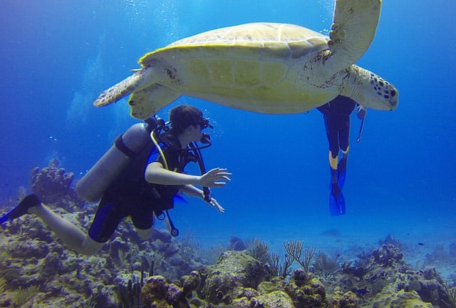 buceo en malasia