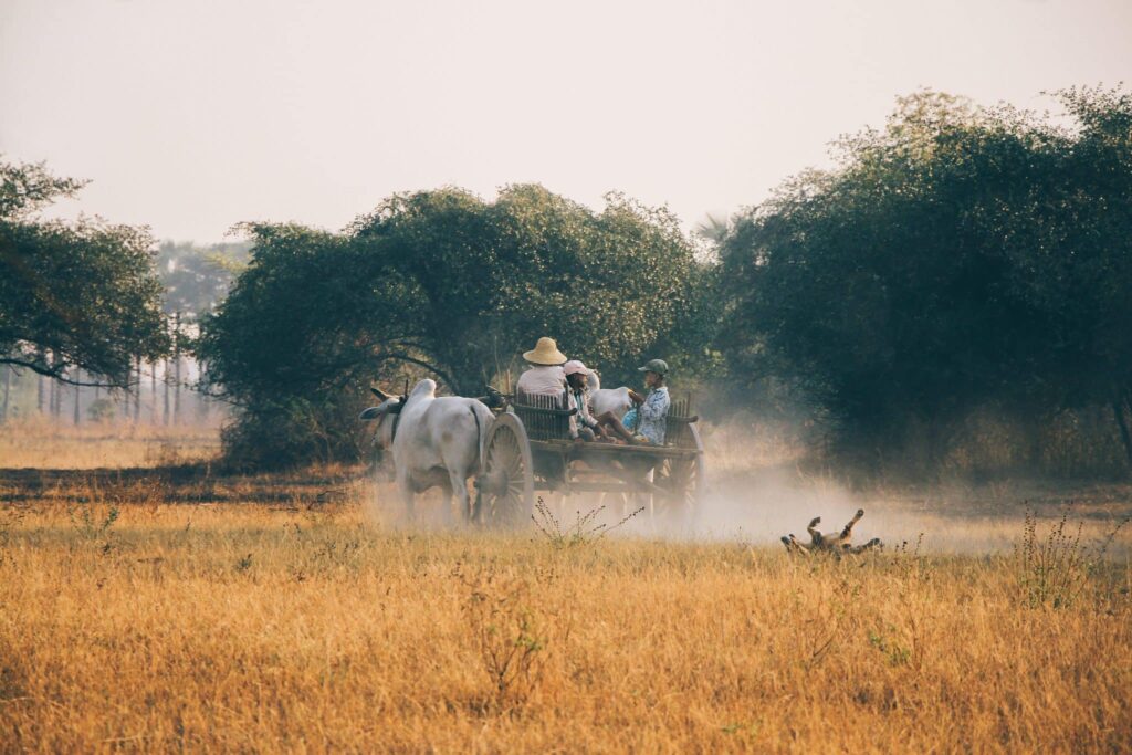 granjeros en Myanmar