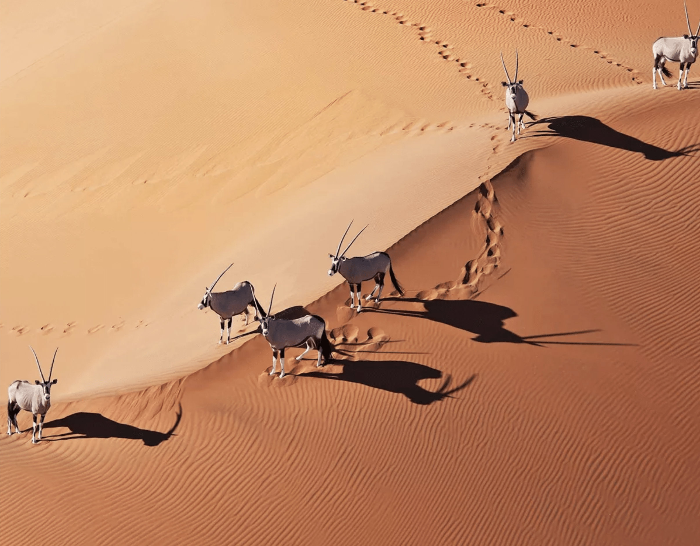 viajar a namibia