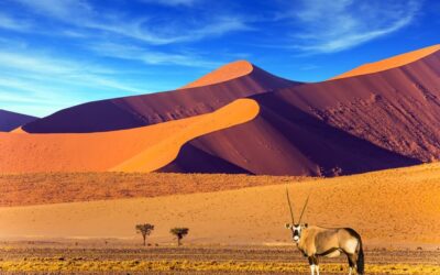 Historia de Namibia