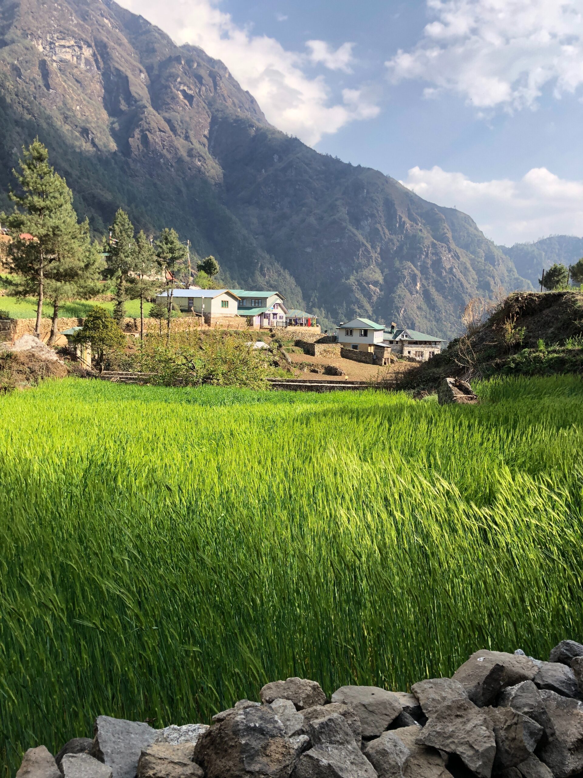 paisaje de Nepal con montañas