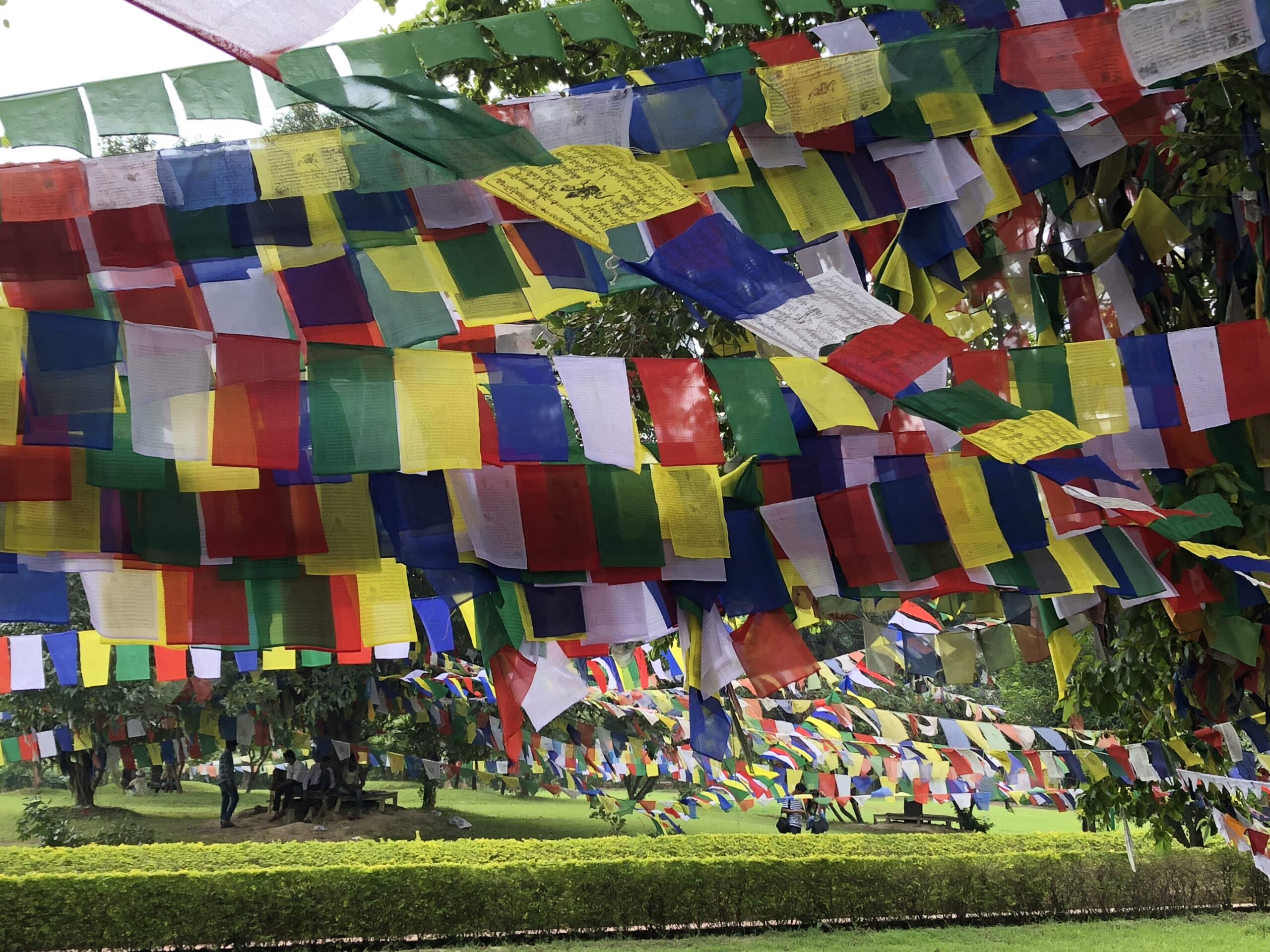 banderas budistas en lumbini nepal