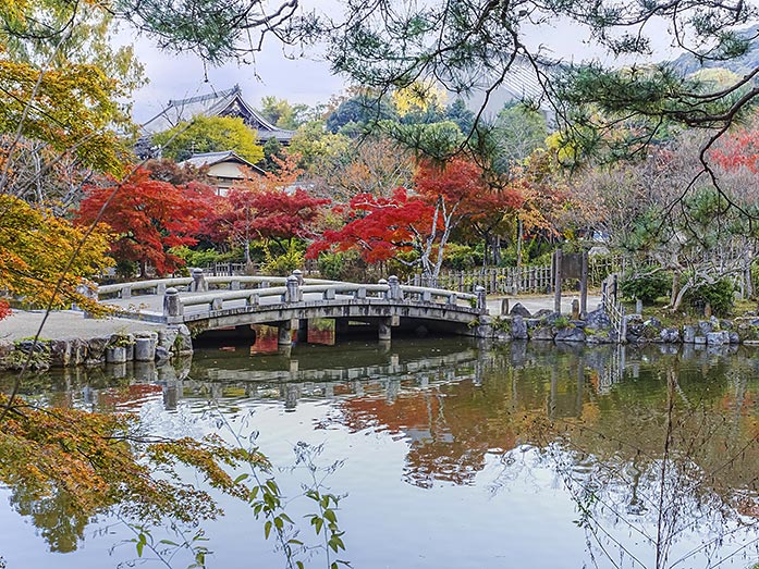 Parque Maruyama en Kioto, Japón