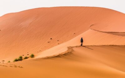 Geografía de Jordania: Del desierto al mar