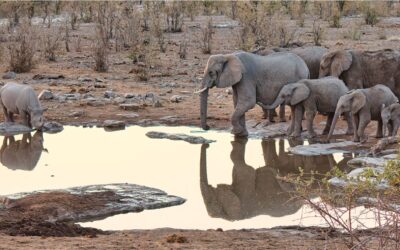 Viajar a Namibia: Guía de Viaje