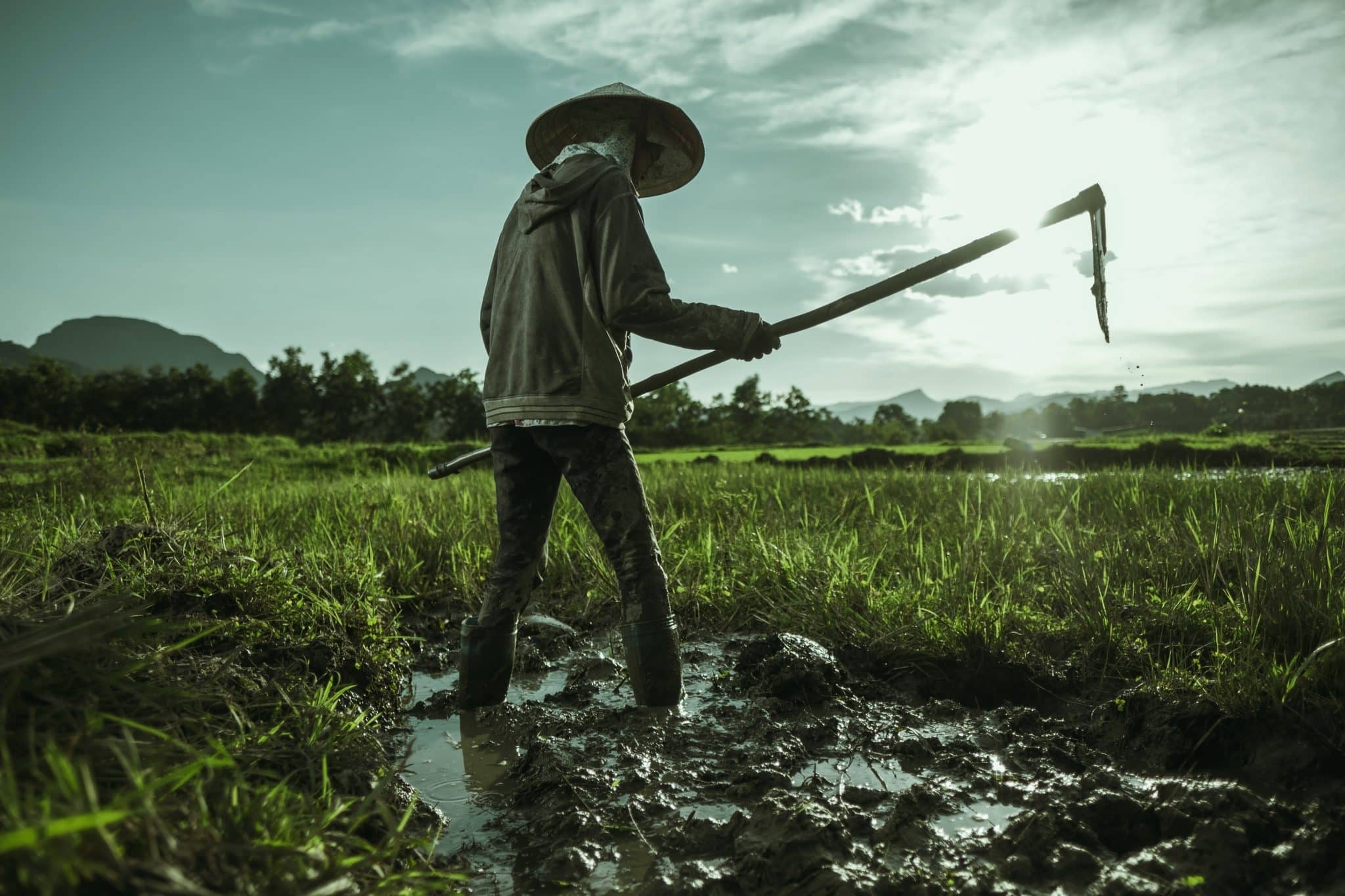 campesinos en Laos