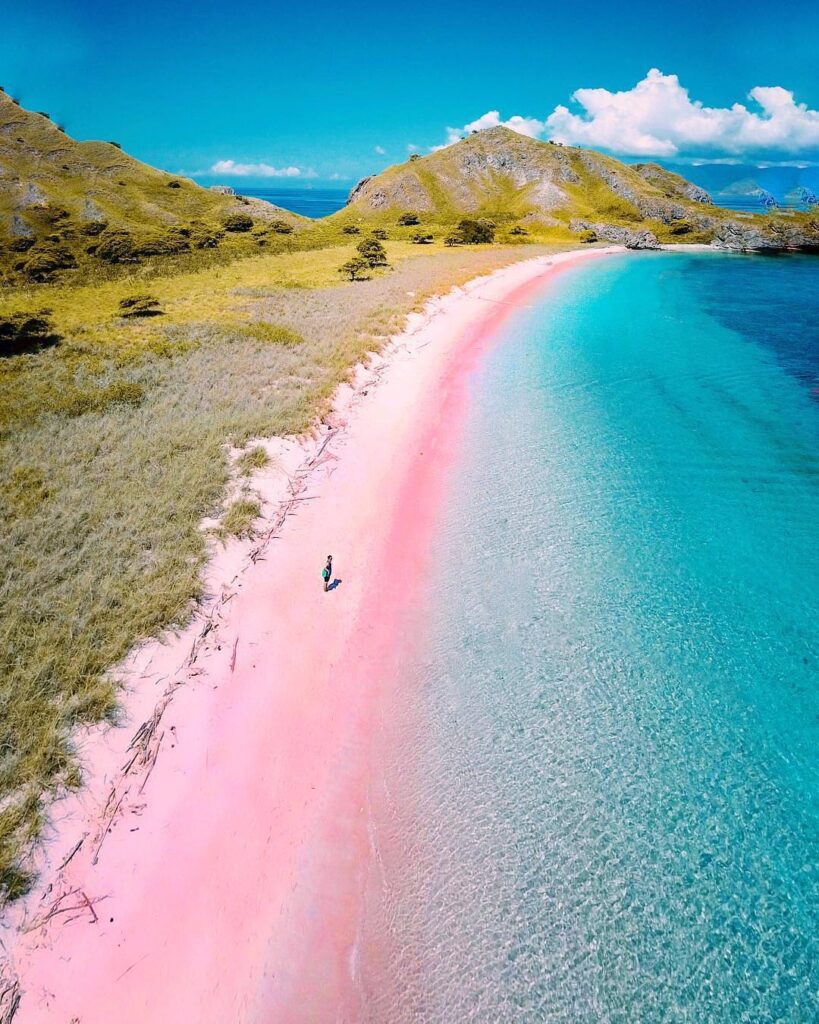 pink beach en indonesia