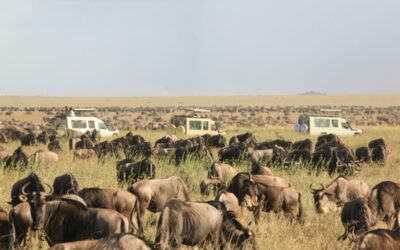 Parque Nacional del Serengueti: entrada, animales que se pueden ver y características