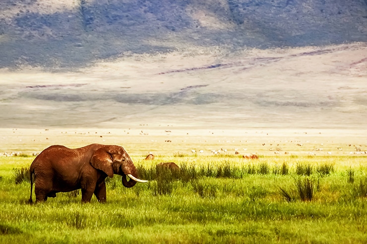 parque nacional de ngorongoro en tanzania