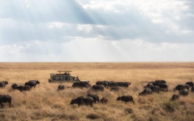 Mejor época para viajar a Tanzania