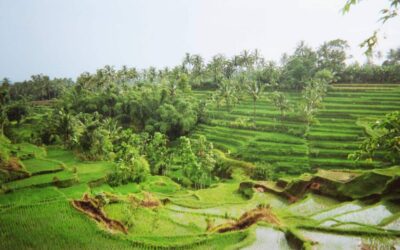 Que ver en Lombok: Todo lo que necesitas saber