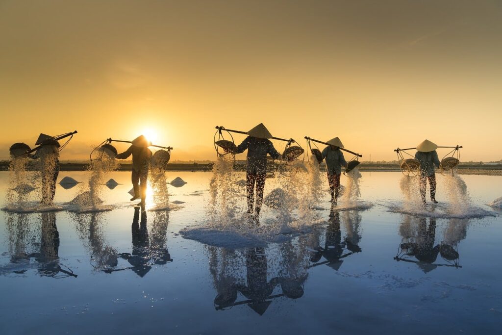 hombres cosechando en Vietnam