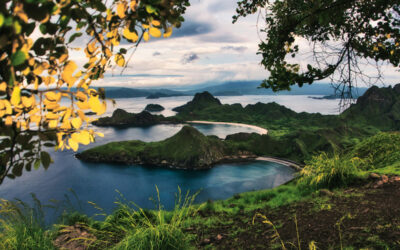 Isla Komodo: Más allá de los dragones, un paraíso oculto