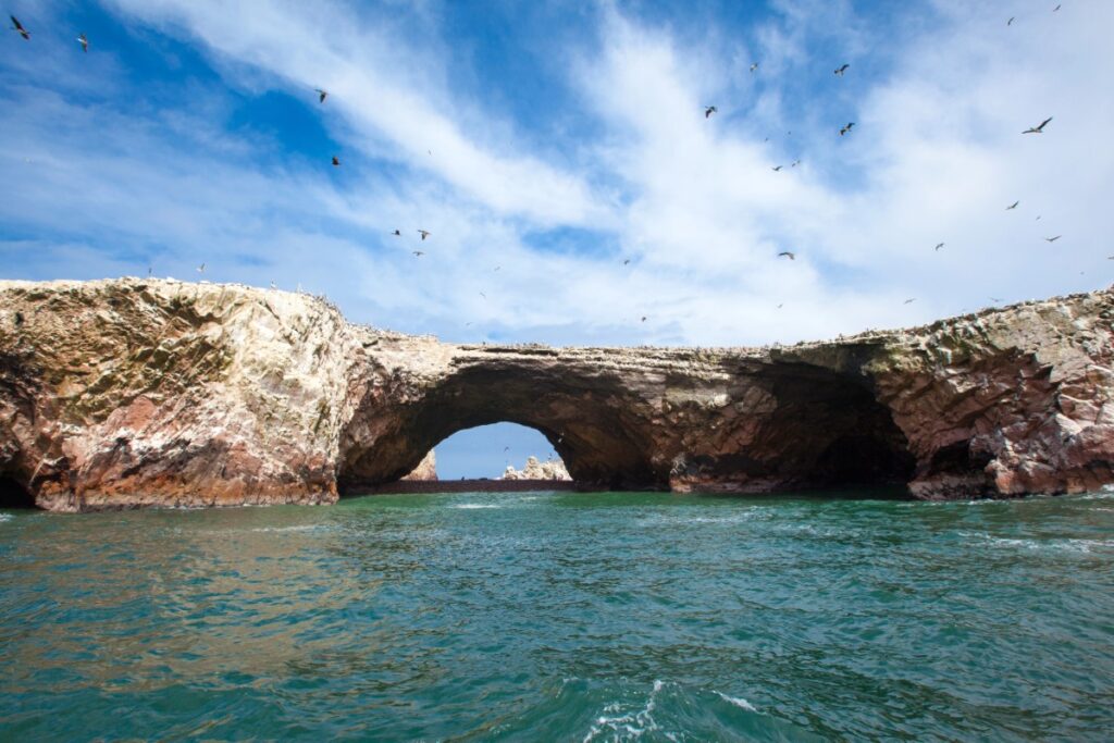 Pajaros en las Islas Ballestas en Perú