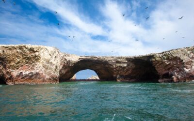 Descubre las Islas Ballestas, las Galápagos peruanas