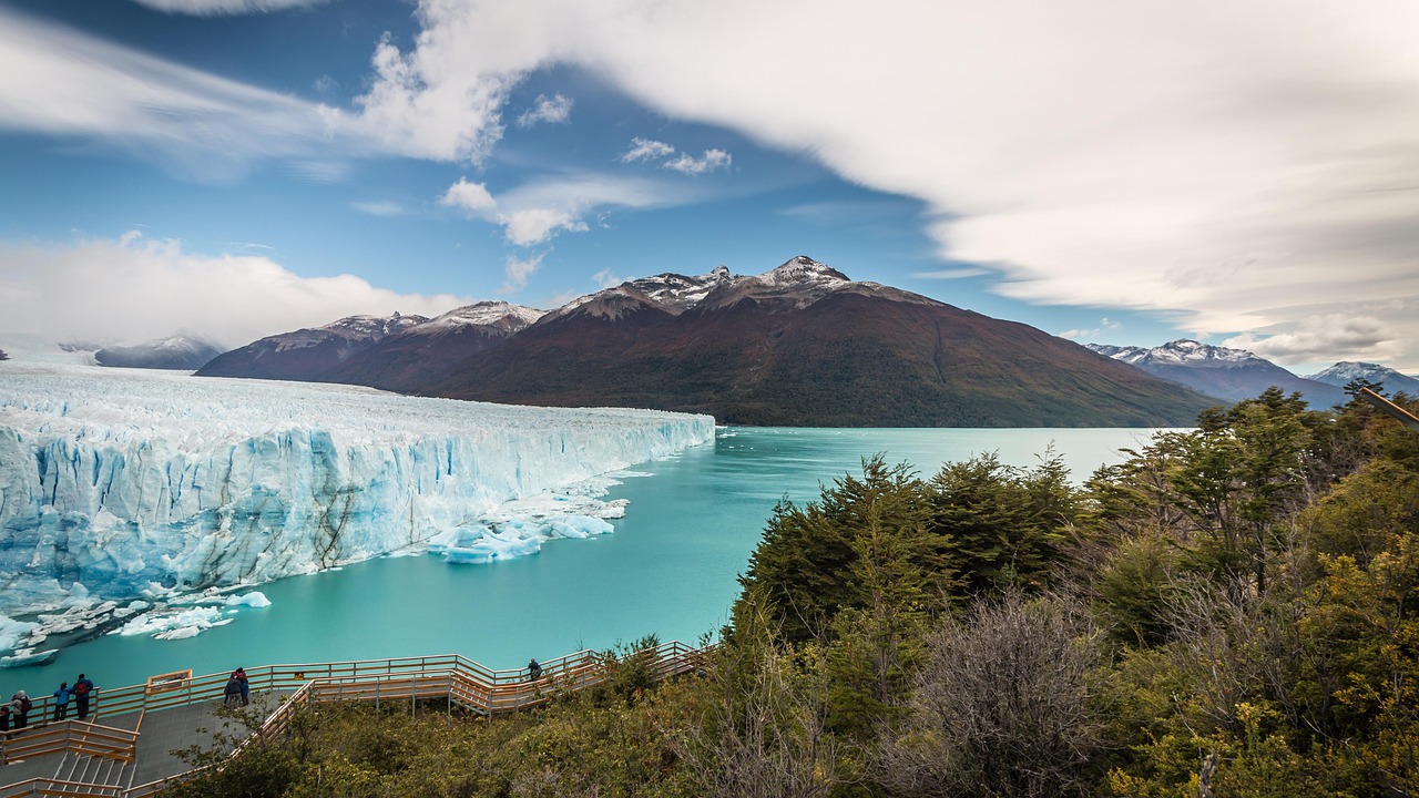 calafate argentina 1